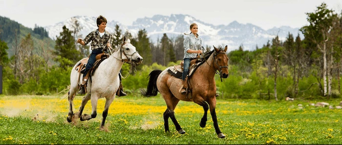 Confident plus-size woman riding Handsworth a horse through a field with a smile on her face.